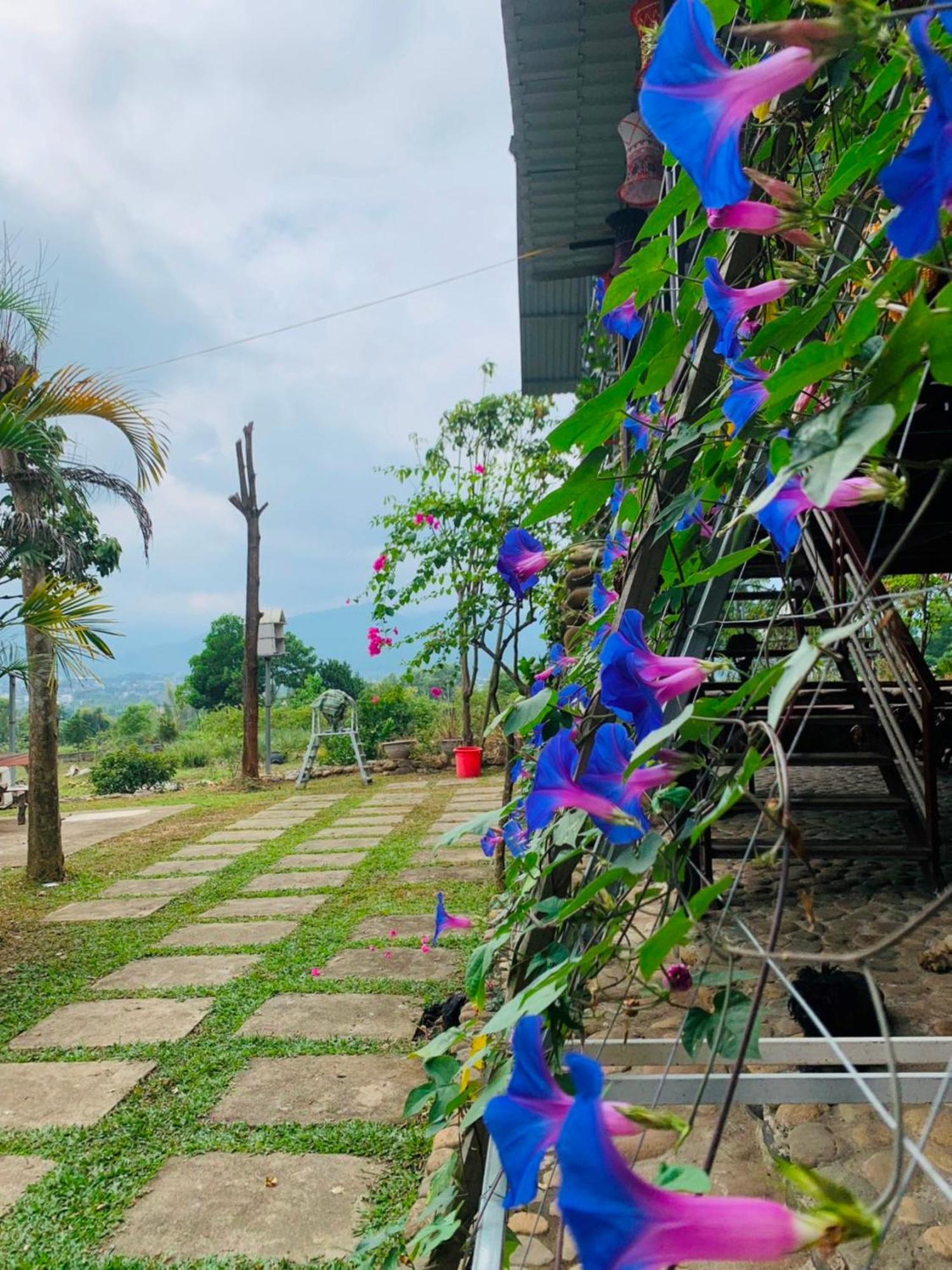 Homestay Nha Cua Mi - Mi'S House Yen Bai Εξωτερικό φωτογραφία