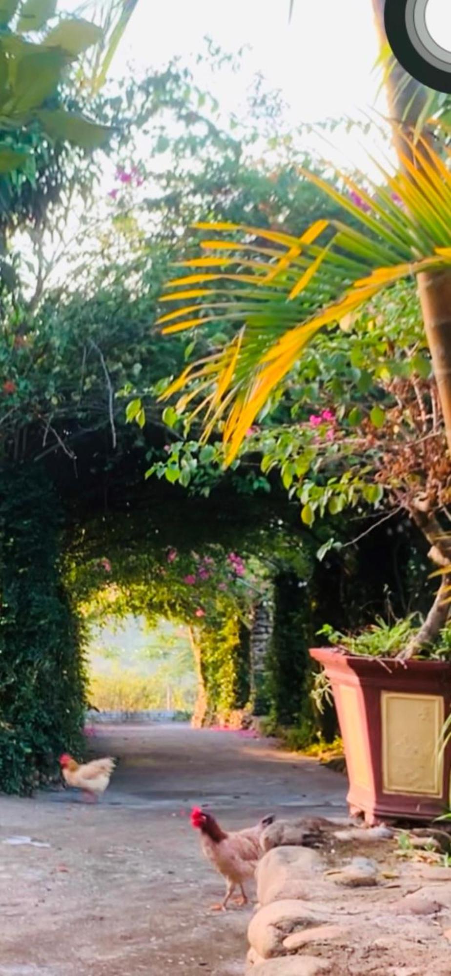 Homestay Nha Cua Mi - Mi'S House Yen Bai Εξωτερικό φωτογραφία