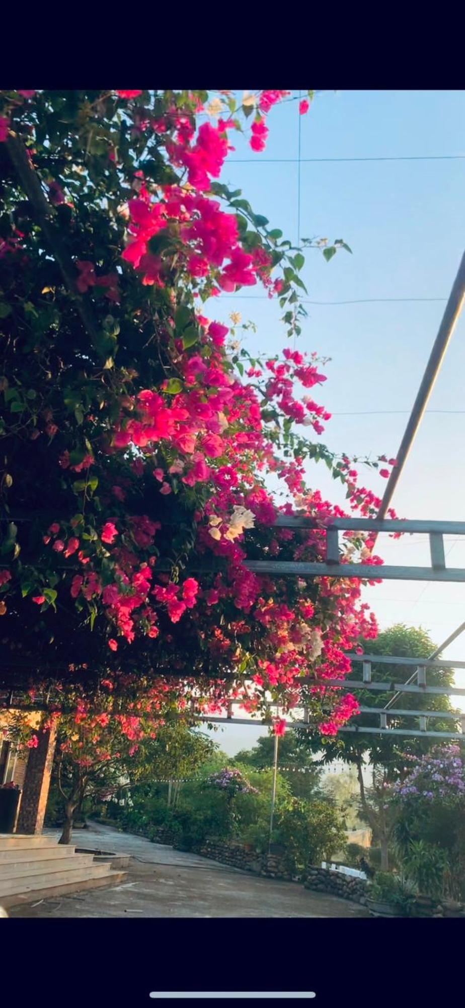 Homestay Nha Cua Mi - Mi'S House Yen Bai Εξωτερικό φωτογραφία